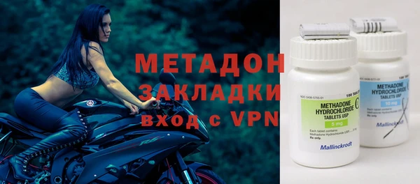 индика Алзамай