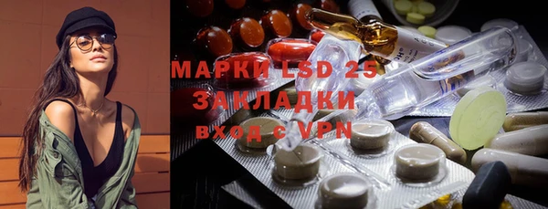 индика Алзамай