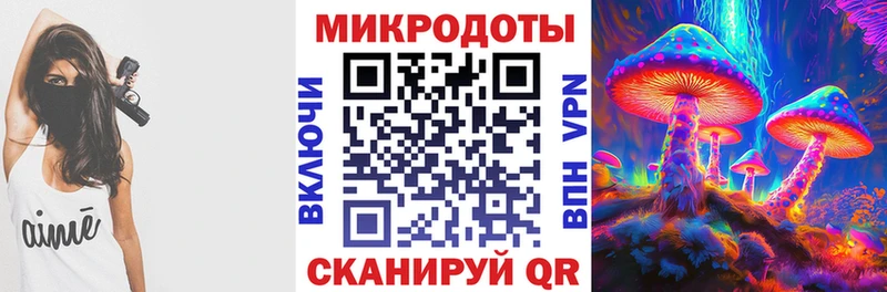 Галлюциногенные грибы MAGIC MUSHROOMS  продажа наркотиков  MEGA вход  Аргун 